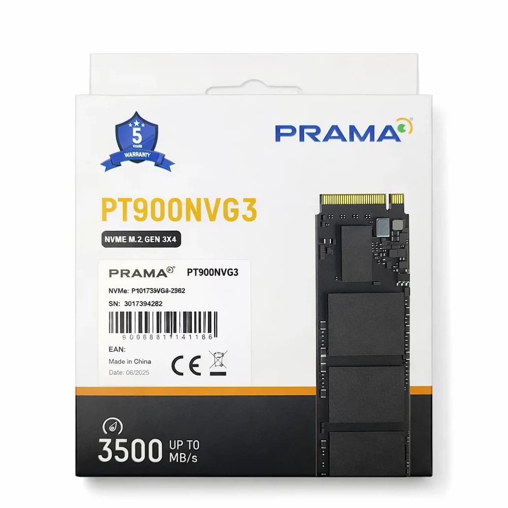 Prama Internal SSD 256GB NVMe (PT900NVG3)