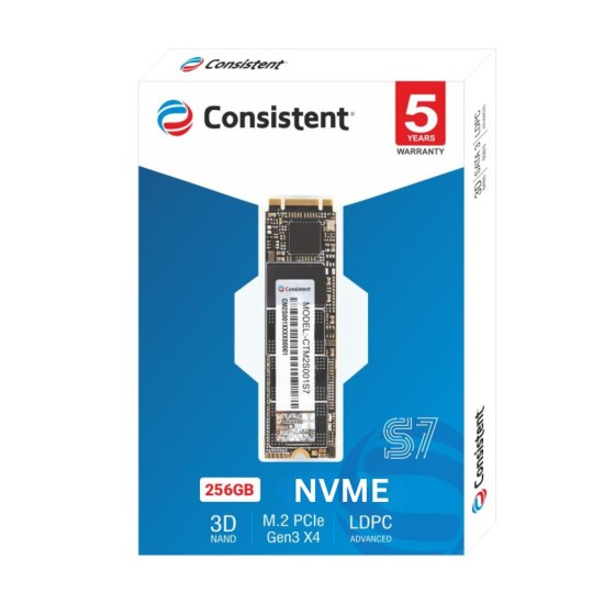 Consistent Internal SSD 256GB NVMe 2280