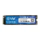 EVM Internal SSD 256GB NVMe