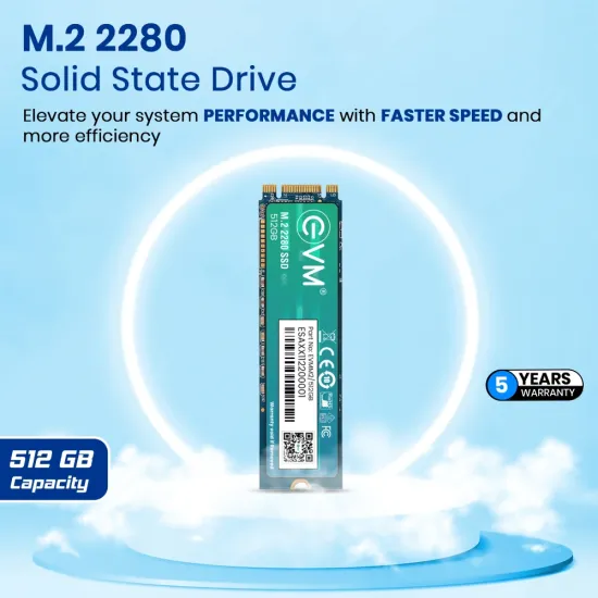 EVM 512GB M.2 SATA Internal SSD