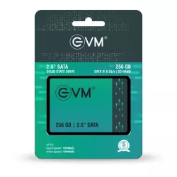 EVM Internal SSD 256GB SATA 2.5 Inch