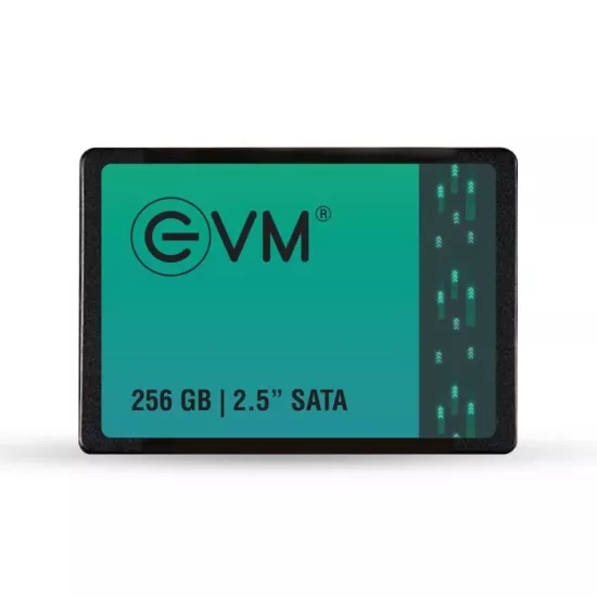 EVM Internal SSD 256GB SATA