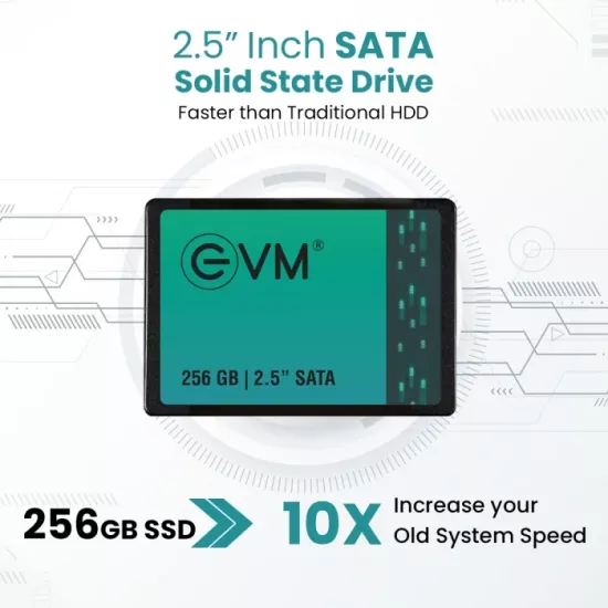 EVM Internal SSD 256GB SATA