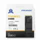 Prama Internal SSD 256GB NVMe (PT900NVG3) Prama Internal SSD 256GB NVMe (PT900NVG3)