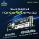 Aarvex Internal SSD 1TB NVMe 2280 (AX950)