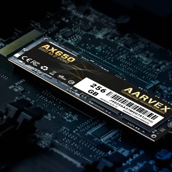 Aarvex AX650 256GB M.2 Internal SSD