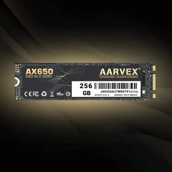 Aarvex AX650 256GB M.2 Internal SSD