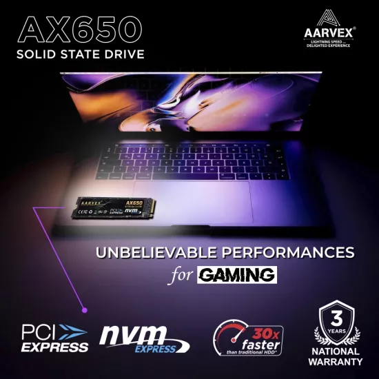 Aarvex AX650 256GB NVMe Internal SSD