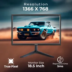 EVM LED Monitor 19