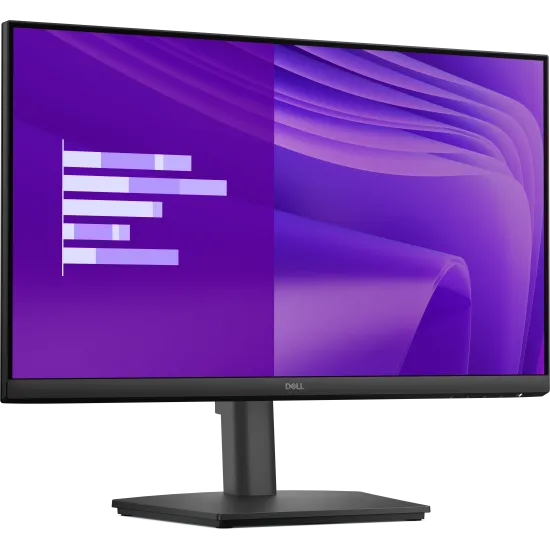 Dell LED Monitor 24