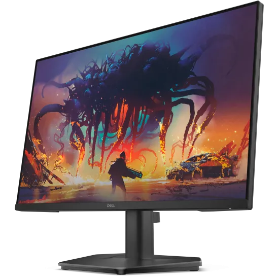 Dell LED Monitor 24