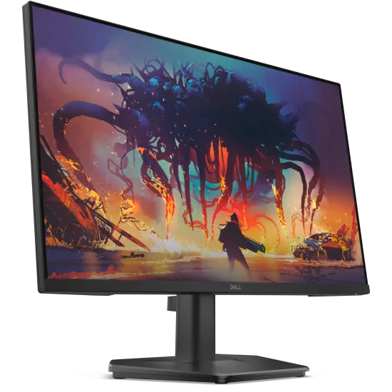 Dell LED Monitor 24
