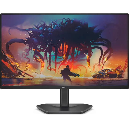 Dell LED Monitor 24
