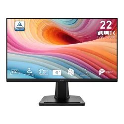 MSI LED Monitor 22