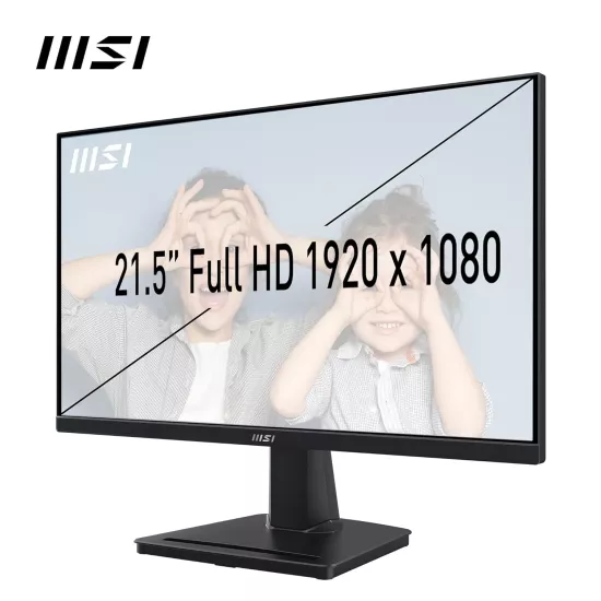 MSI LED Monitor 22