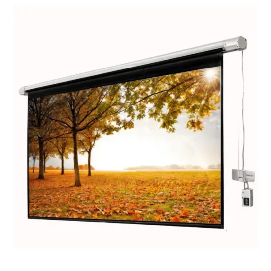 Multybyte Anti-Creased Motorize Projection Screen 4×6