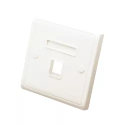 Digisol Face Plate Single Module
