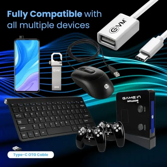 EVM Type-C OTG Cable USB 2.0 (OTG-04) Silver