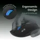 EVM Wireless Mouse EWLM 720 (Black)