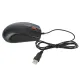 Live Tech USB Mouse MS19