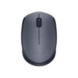 Logitech Wireless Mouse M170