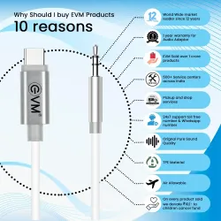 EVM Type-C to 3.5mm Aux Cable Silver