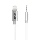 EVM iPhone Lightning to 3.5mm Aux Cable Silver