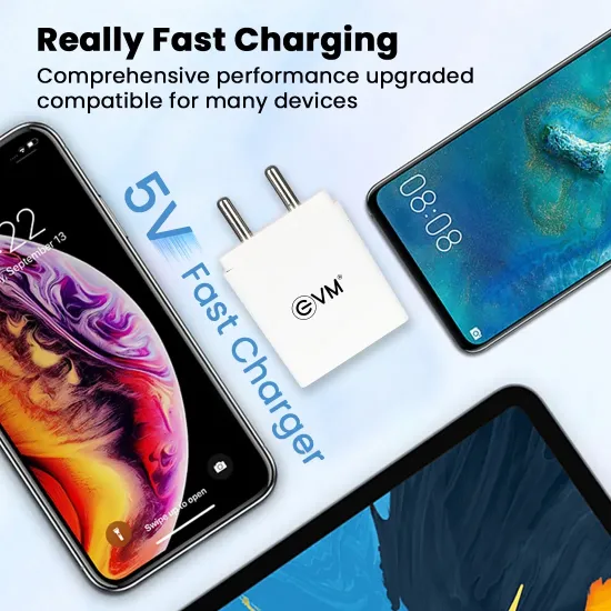 EVM Mobile Charger With Cable (USB to Type-C) Dual USB 12W