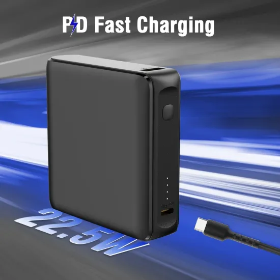 EVM Power Bank 10000 mAh (Enfast Ace P0408 )