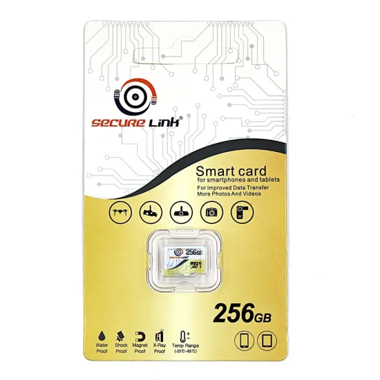 Securelink 256GB SD Memory Card