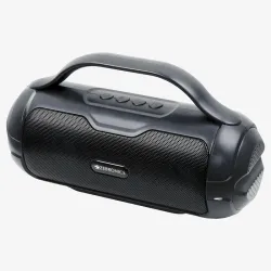 Zebronics Bluetooth Speaker RGB 8w County Plus