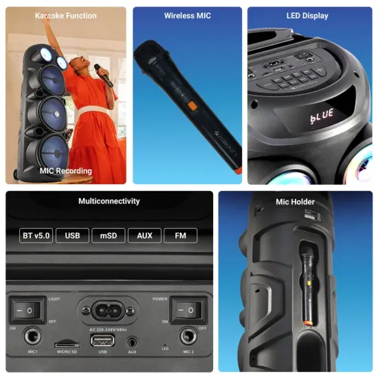 Zebronics Bluetooth Speaker with wireless Mic 100w Vigor 100