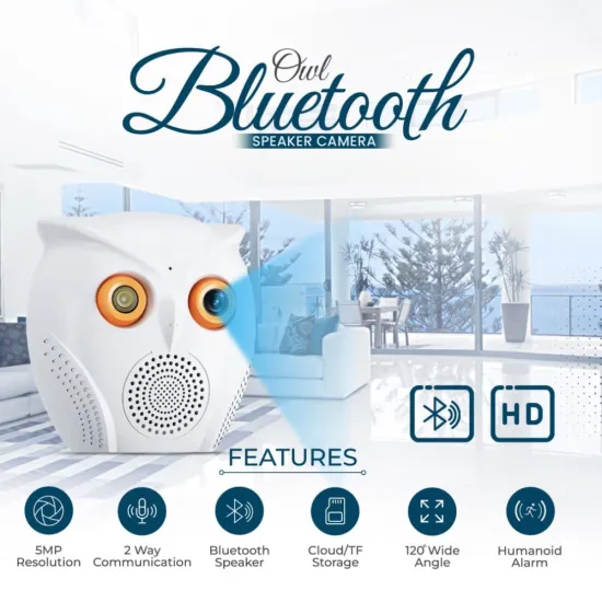 A+Products 5MP Owl Bluetooth Speaker Camera with  2 Way Audio