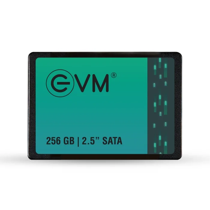 EVM Internal SSD 256GB SATA view 2