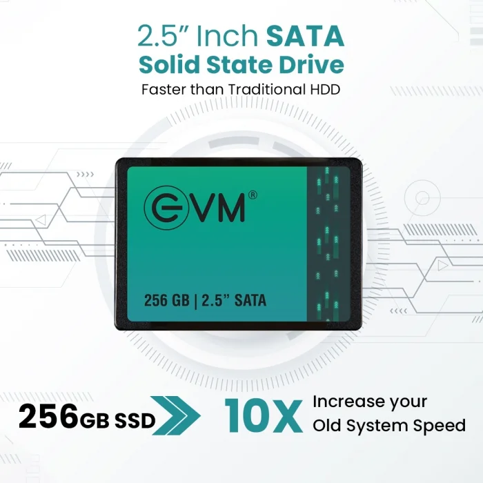 EVM Internal SSD 256GB SATA view 3