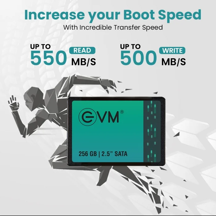 EVM Internal SSD 256GB SATA view 4