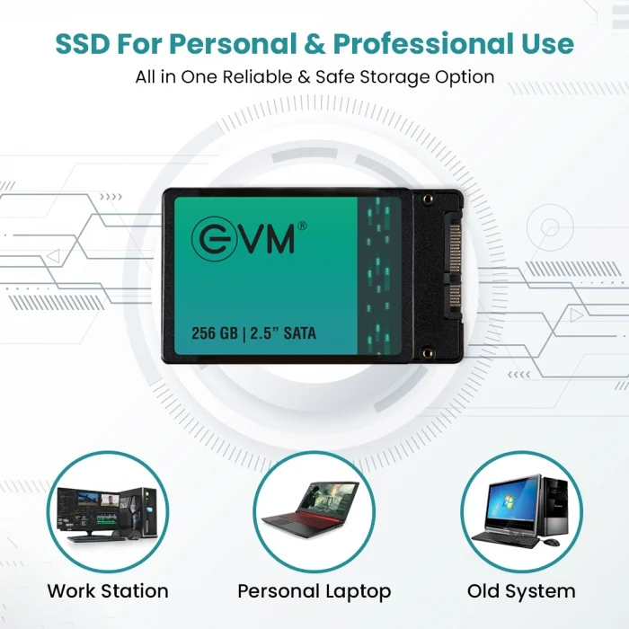 EVM Internal SSD 256GB SATA view 5