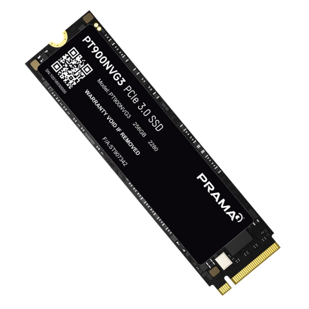 Prama Internal SSD 256GB NVMe (PT900NVG3) view 2